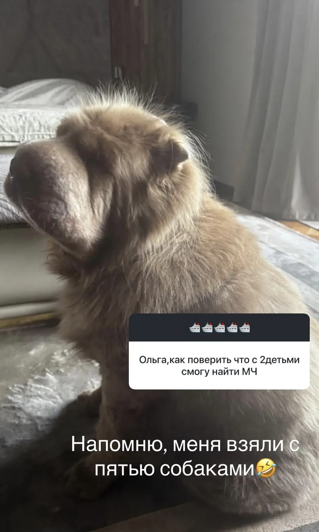 Изображение 1 к публикации «Ольга Орлова»