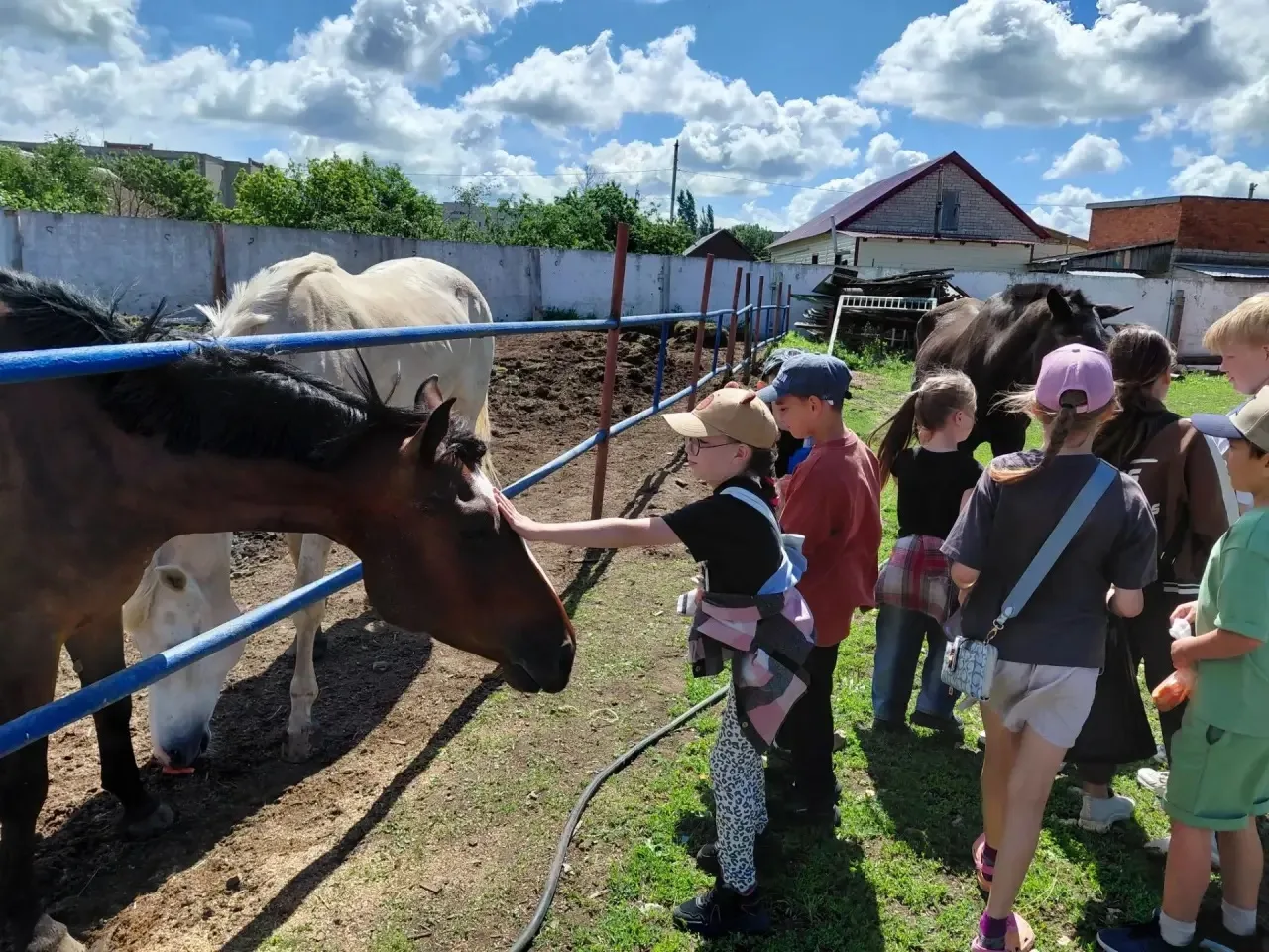 Дворовая площадка сегодня побывала на экскурсии на Конном дворе! 🐴
Дети покормили яблоками и морков