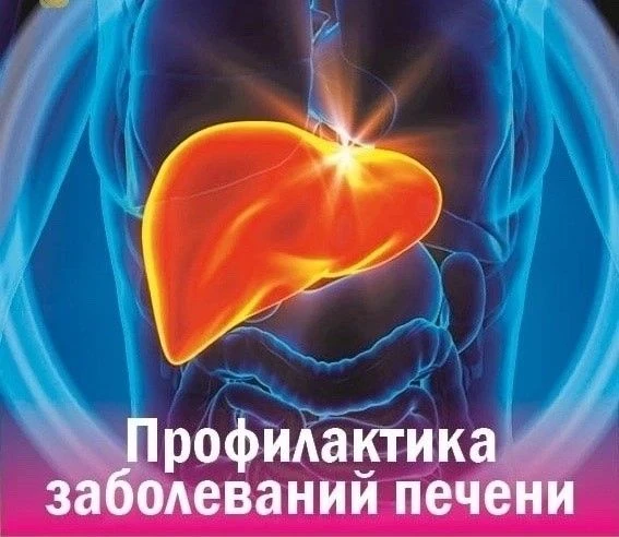 С 27 июля по 2 августа Министерством здравоохранения РФ проводится Неделя профилактики ...