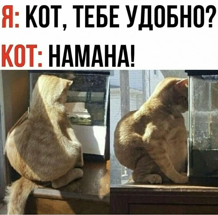 Наш телеграм: https://t.me/votetoprikol90