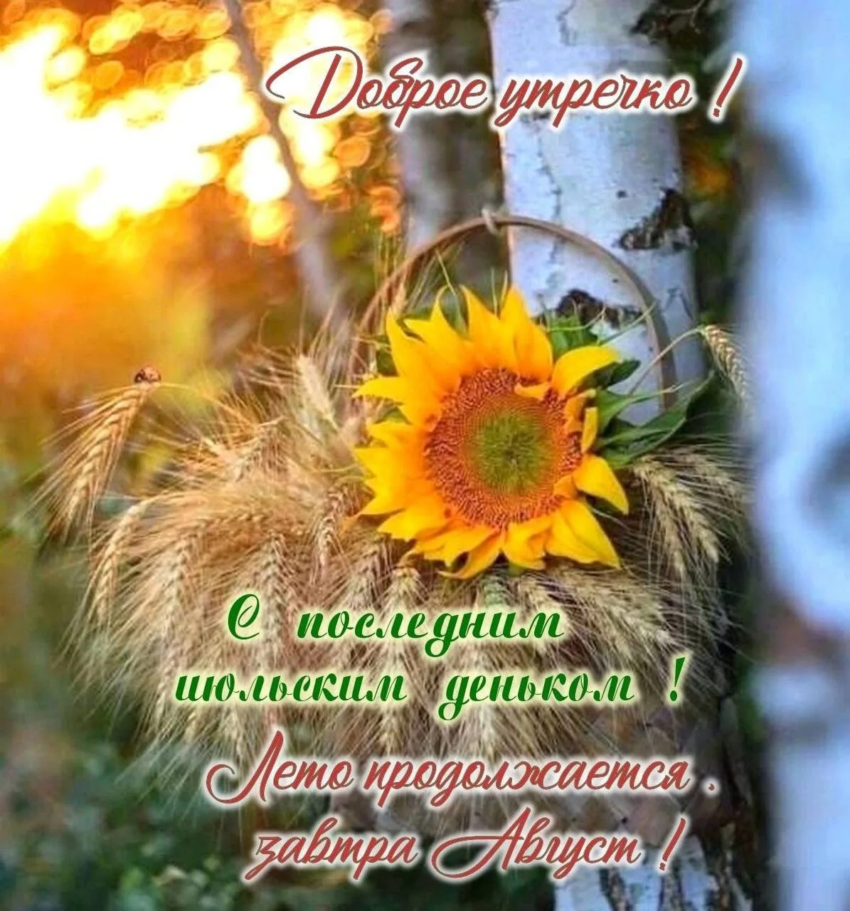 Женские открытки💝