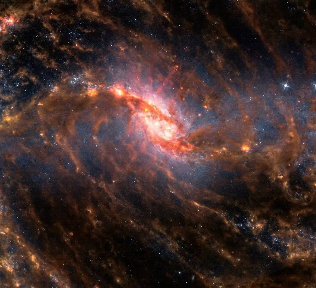 Центральный регион спиральной галактики NGC 1635 🔭