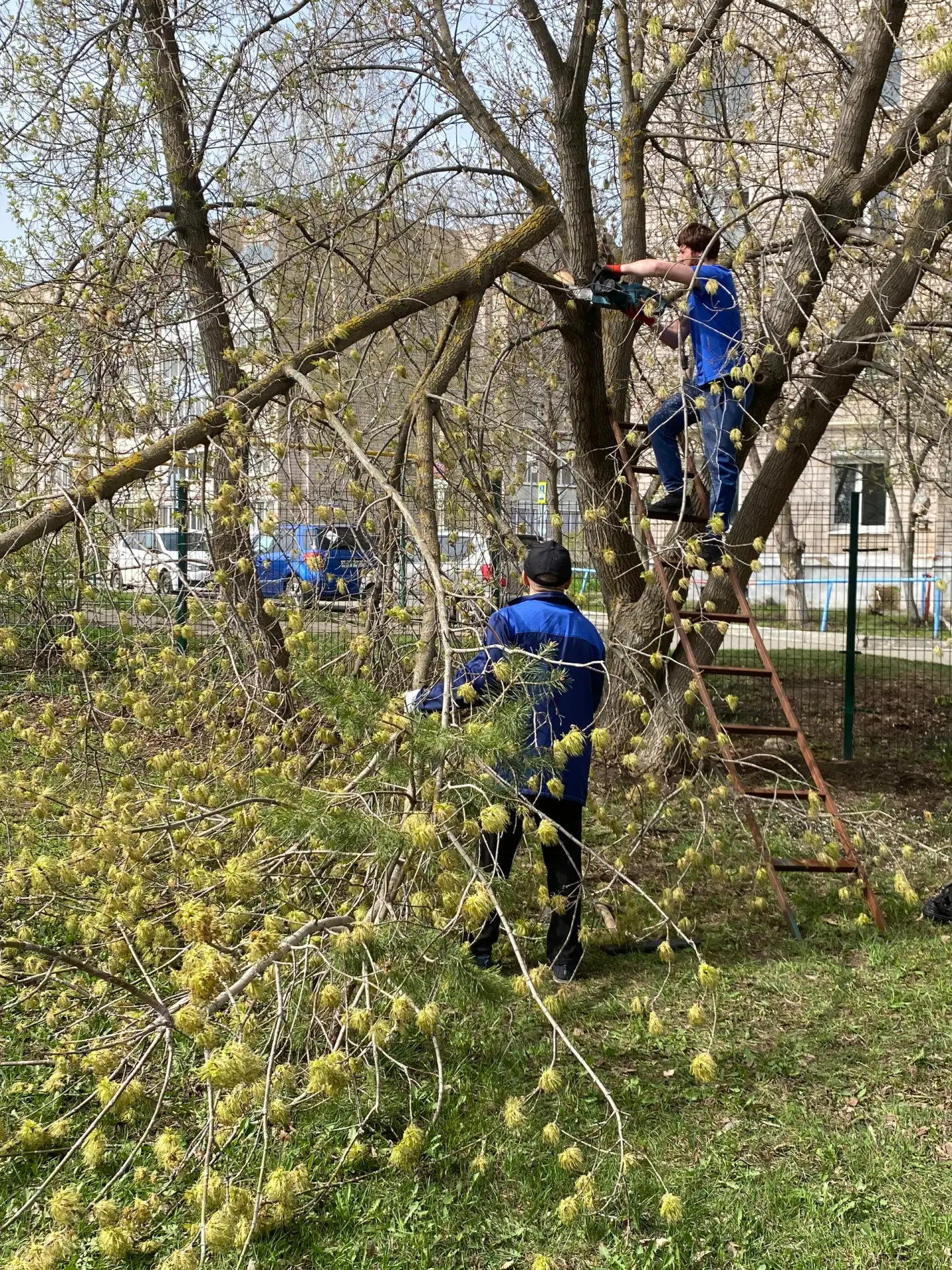 Итоги субботника в нашей Спортивной школе:
- Сухие ветки спилены
- Листья и прочий мусор убран
- Бор