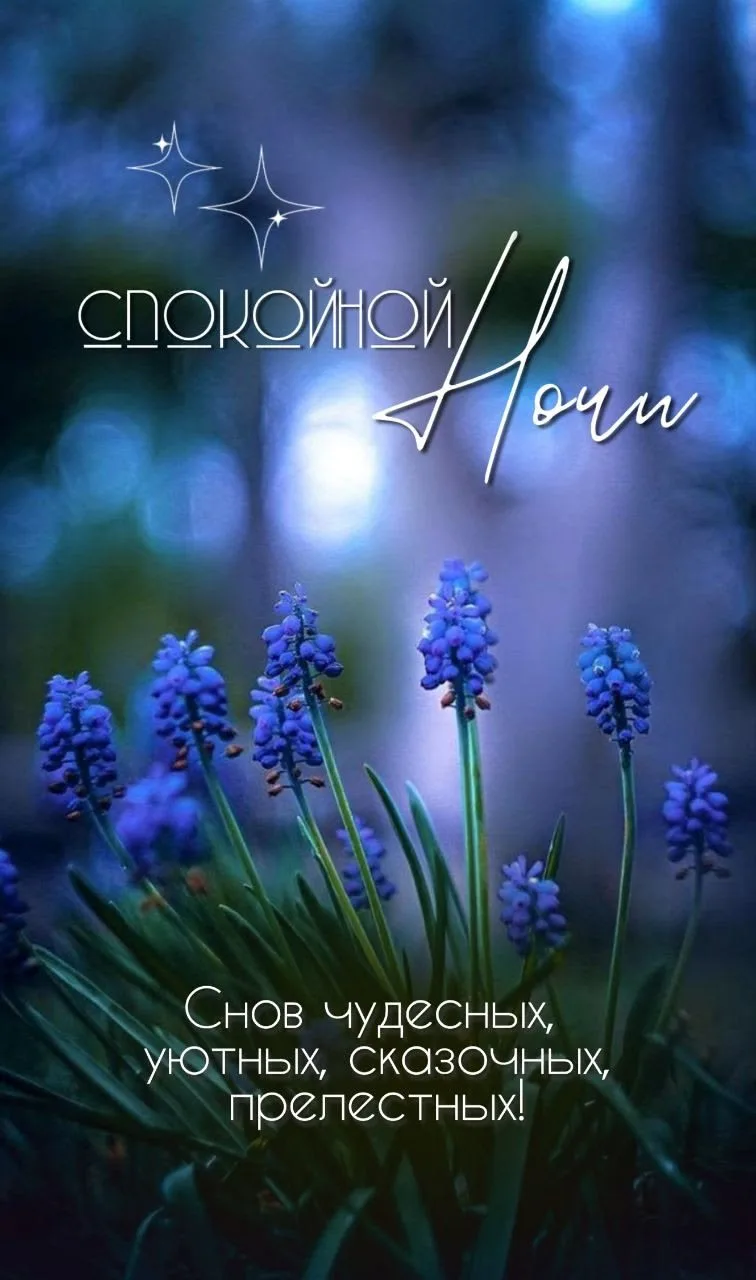 Подпишись 👇