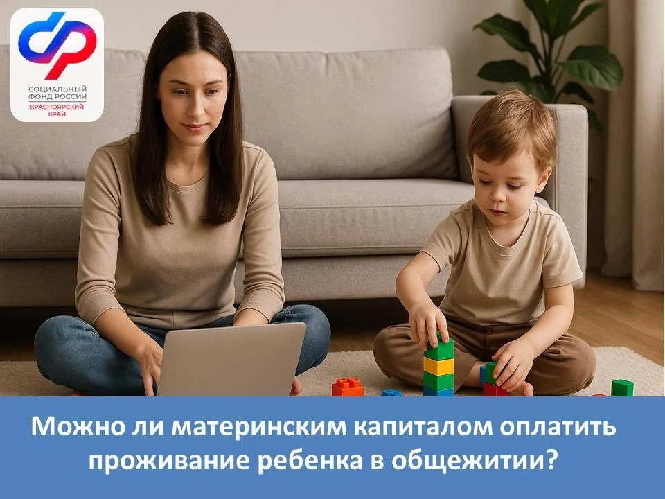 Изображение 1 к публикации «Социальный фонд России по Красноярскому краю»