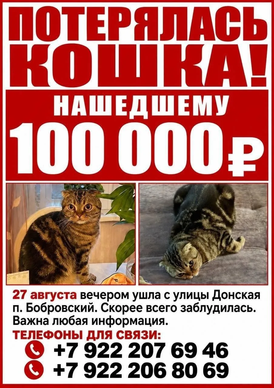 Изображение 2 к публикации «Zloy_ekb 18+ | Злой Екатеринбург»