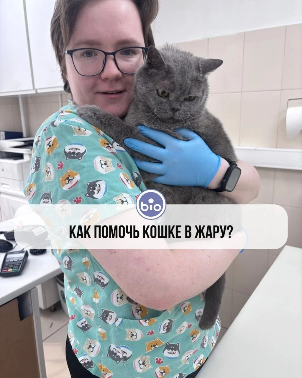 Жара в Москве и других регионах уже проверяет нас на прочность! ☀🌡 
Кошки переносят высокую темпера