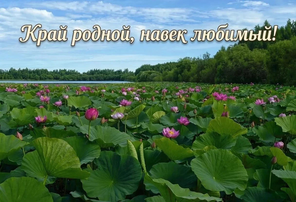 📸 Покажи красоту Хабаровского края! Фотоконкурс «Край родной, навек любимый!»