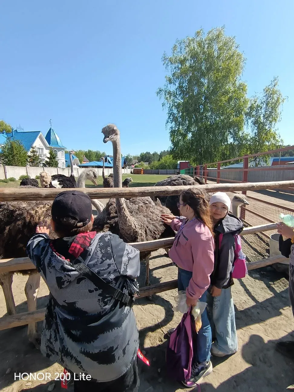 Сегодня было невероятно: теперь 1В и 4Г отправились на Страусиное ранчо! 🤩 Дети с восторгом наблюдал