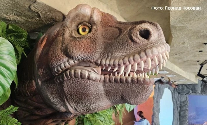 🦖 Амурский динопарк принял две тысячи гостей за первые дни работы