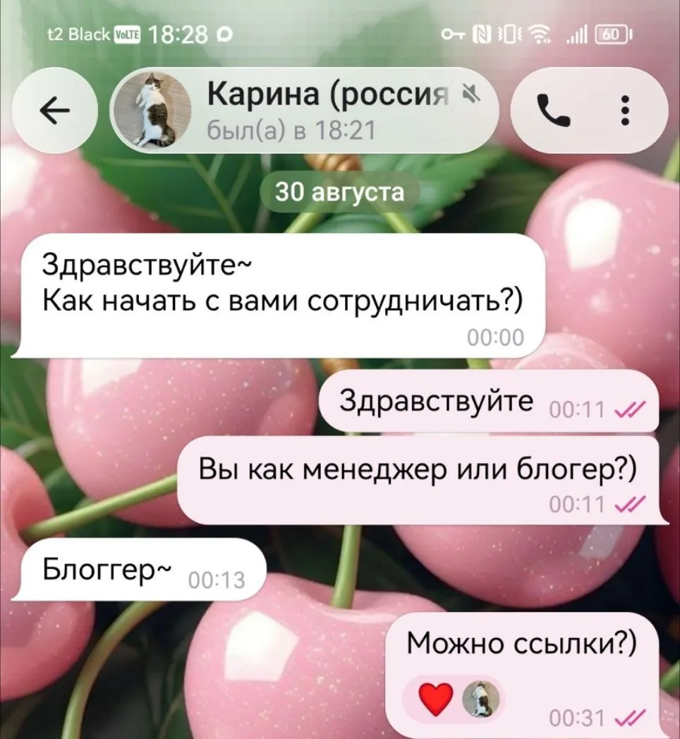 Стабильно раз в неделю прилетают заявки от блогеров по поводу сотрудничества в качестве...