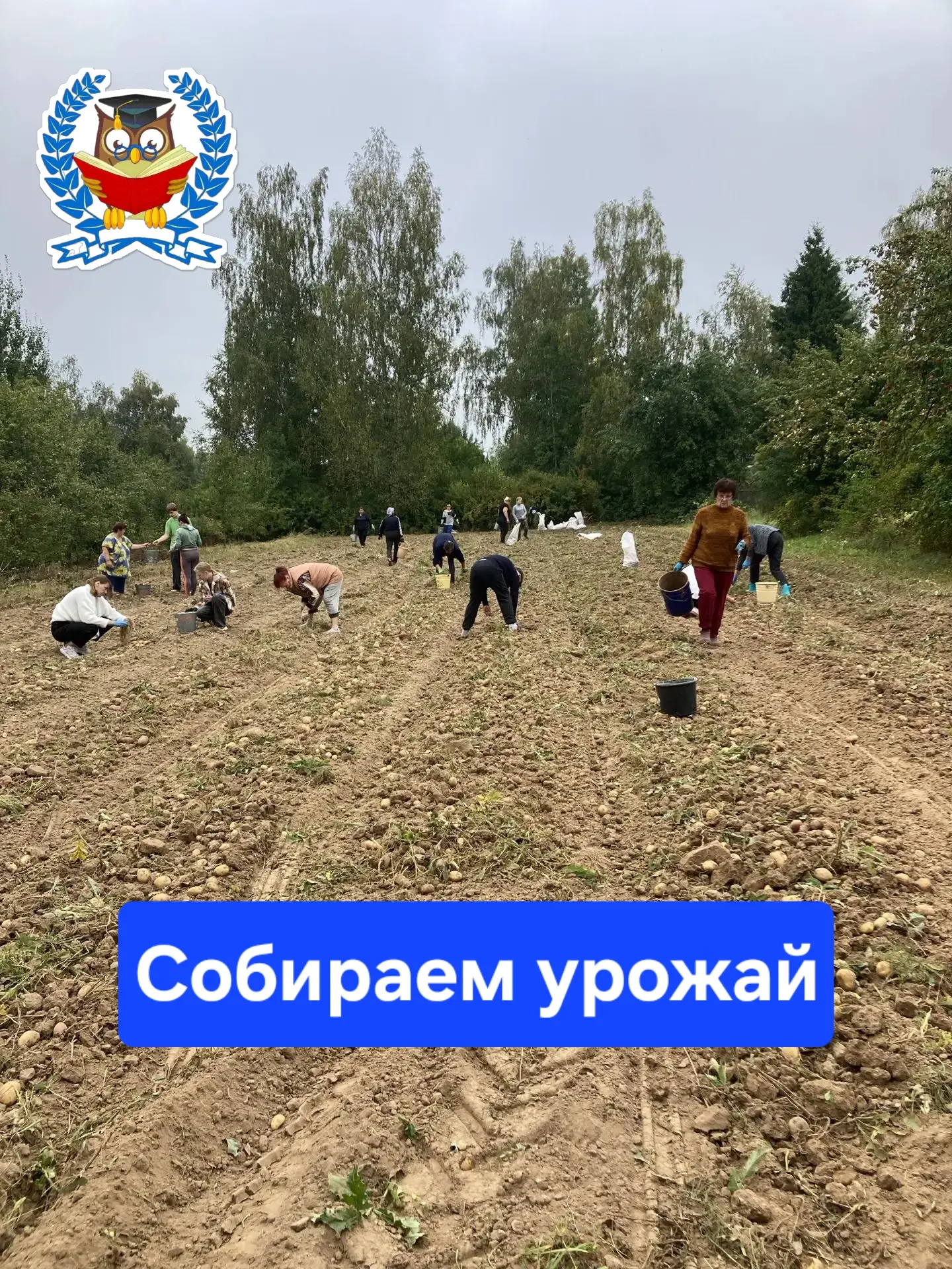 🎉 Дружные ребята: вместе — сила! 🎉