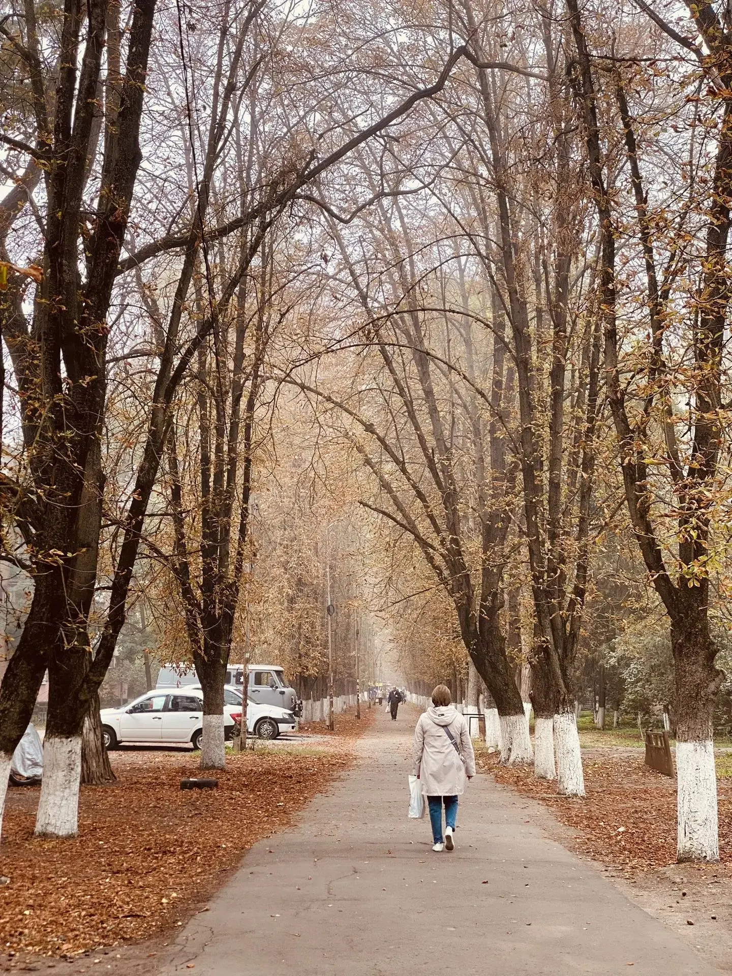 Осенний туман в Авиагородке 🍂🌫️