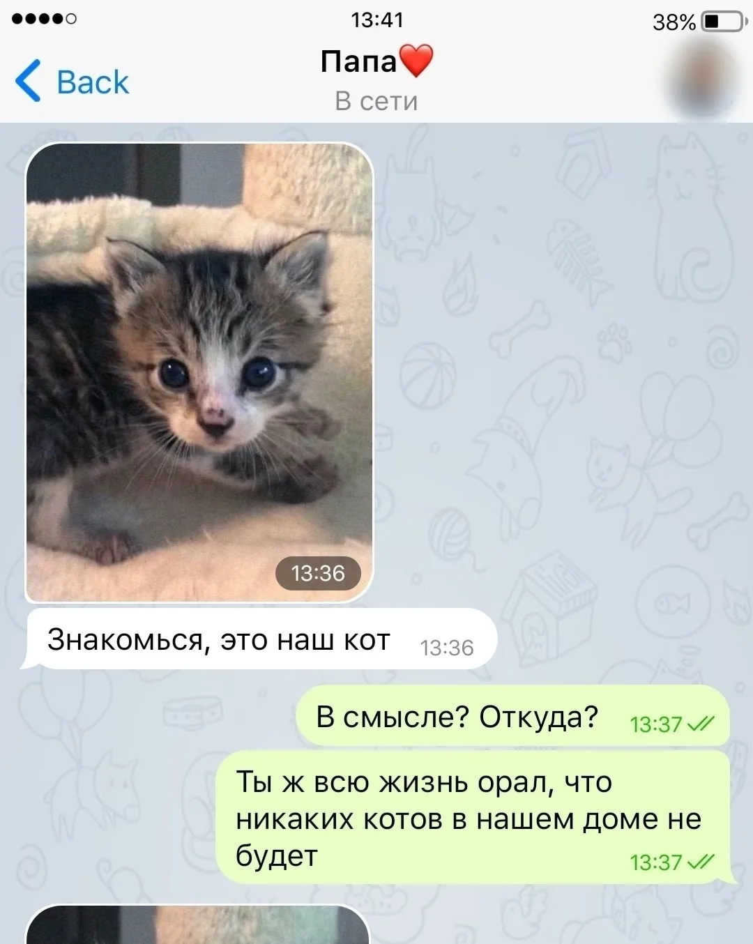 Пaпа: «Никаких котов в доме. Никогда. Ни при каких обстоятельствах.» 
Тoже папа спустя один подъезд 