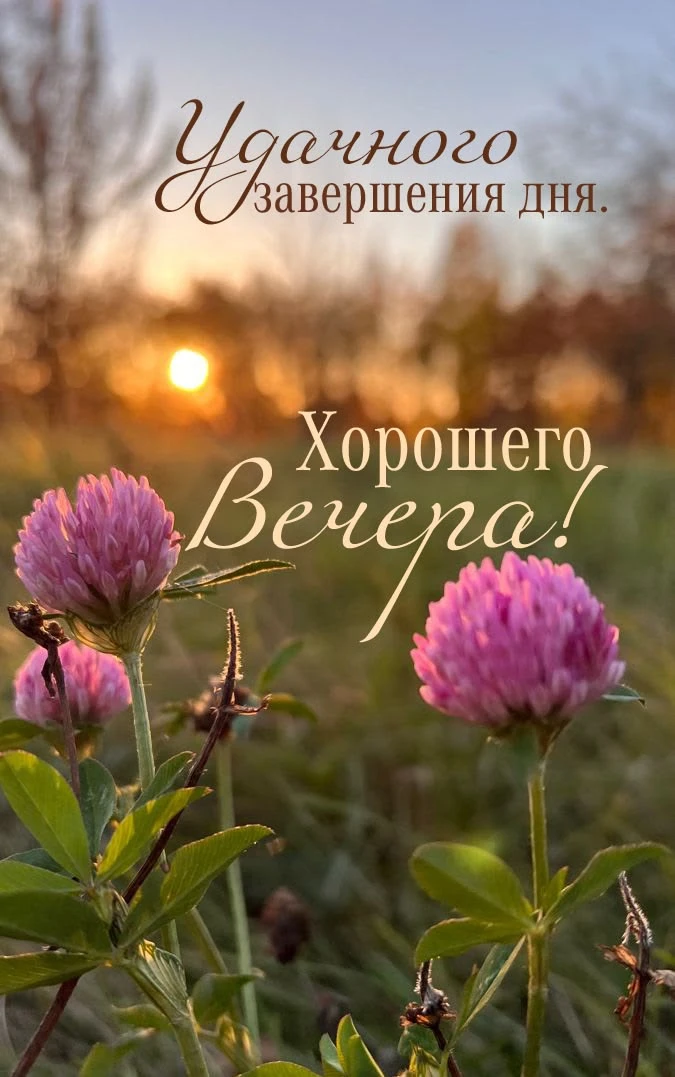 Добрый вечер
