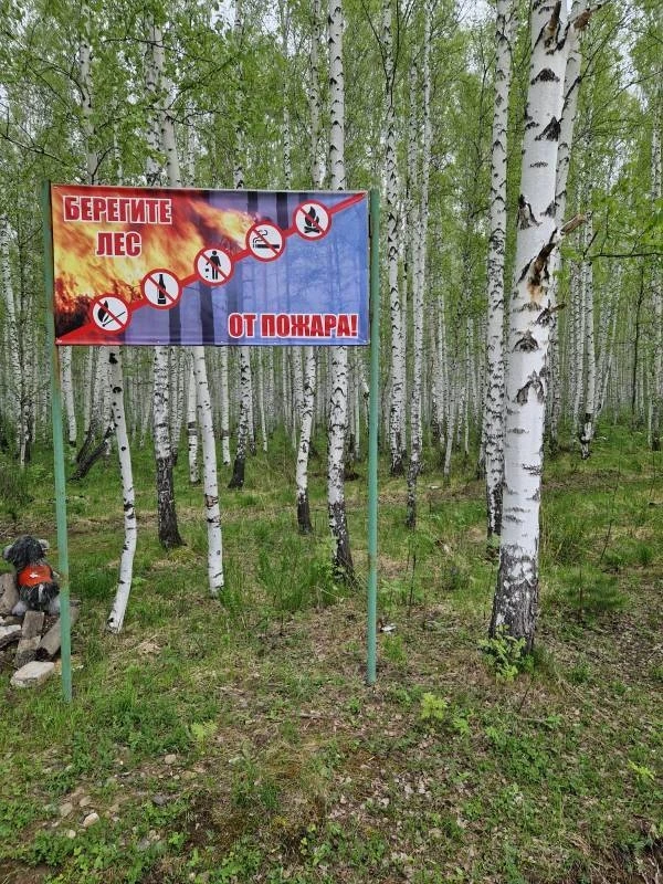 Берегите лес!