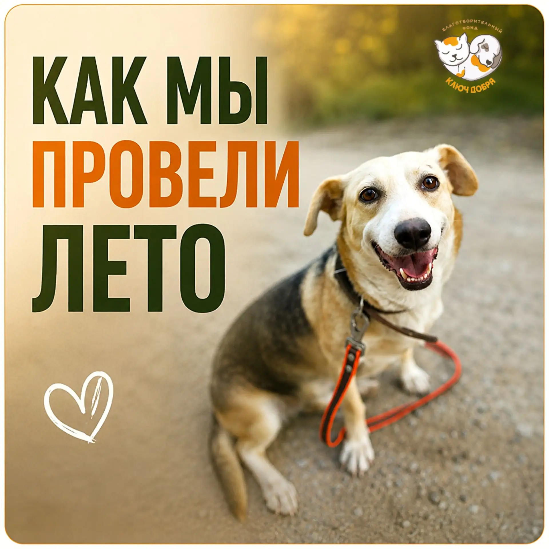 Как мы провели это лето.