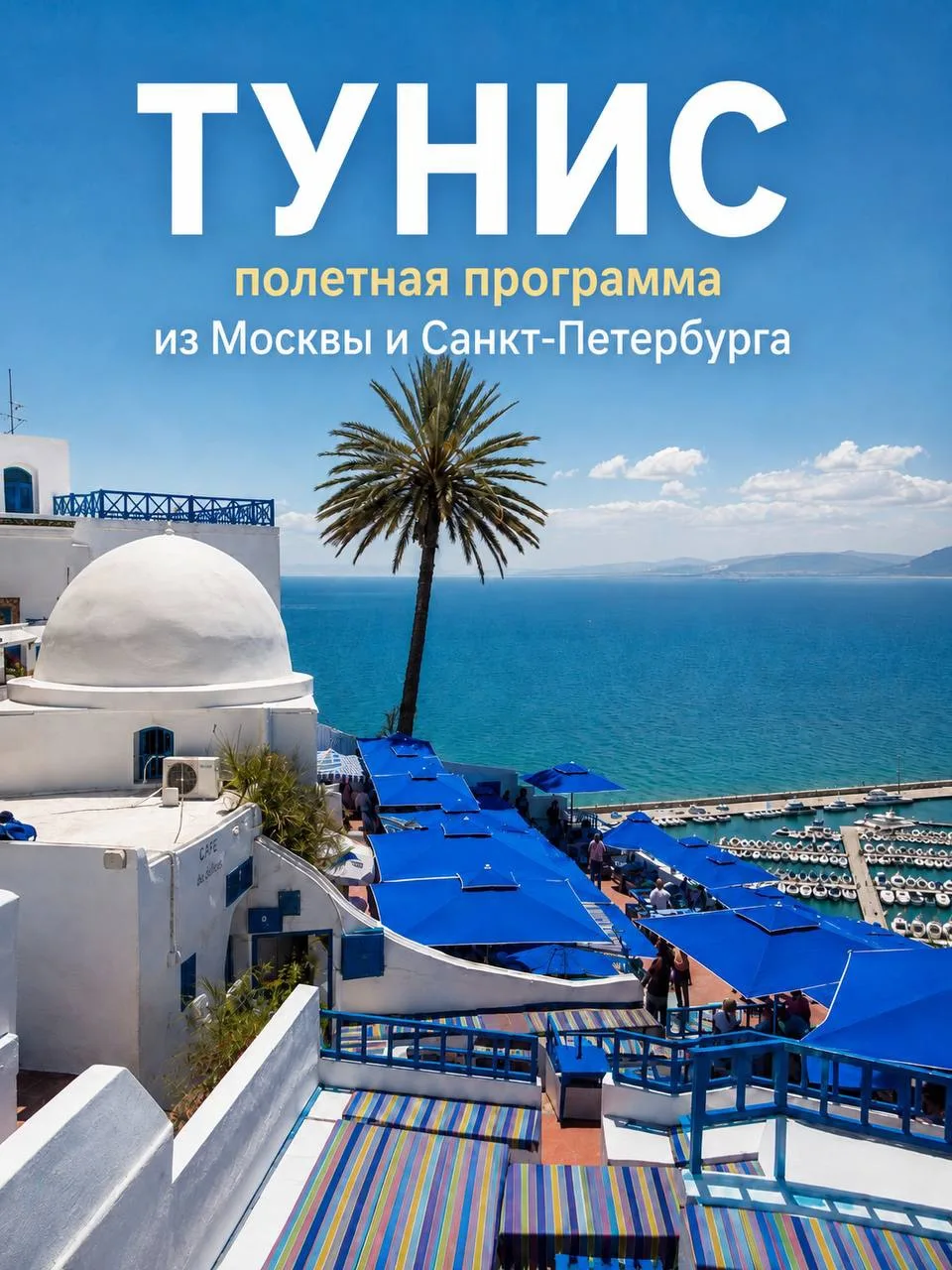 ✈️ Тунис снова в продаже! Полетная программа из Москвы и Санкт-Петербурга 🇹🇳

Если вы давно мечтал