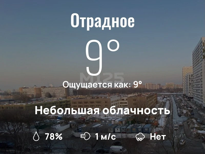 Какая погода в Отрадном?