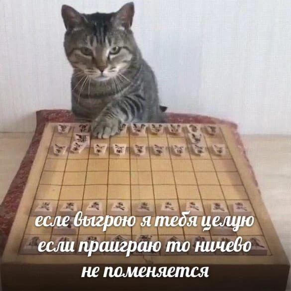 Rep Chess Ufa отметит день рождения турниром в «Мечтах»