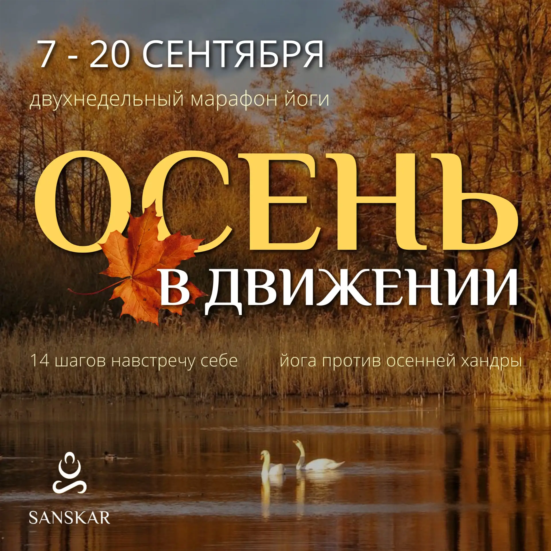 🍁ОСЕНЬ В ДВИЖЕНИИ: двухнедельный марафон йоги✨