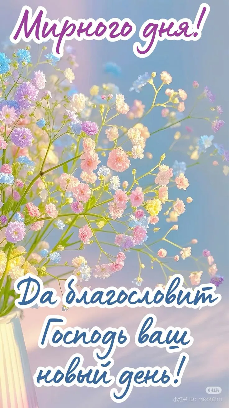 #БлагословенногоДня

Благословенные открытки 🙏