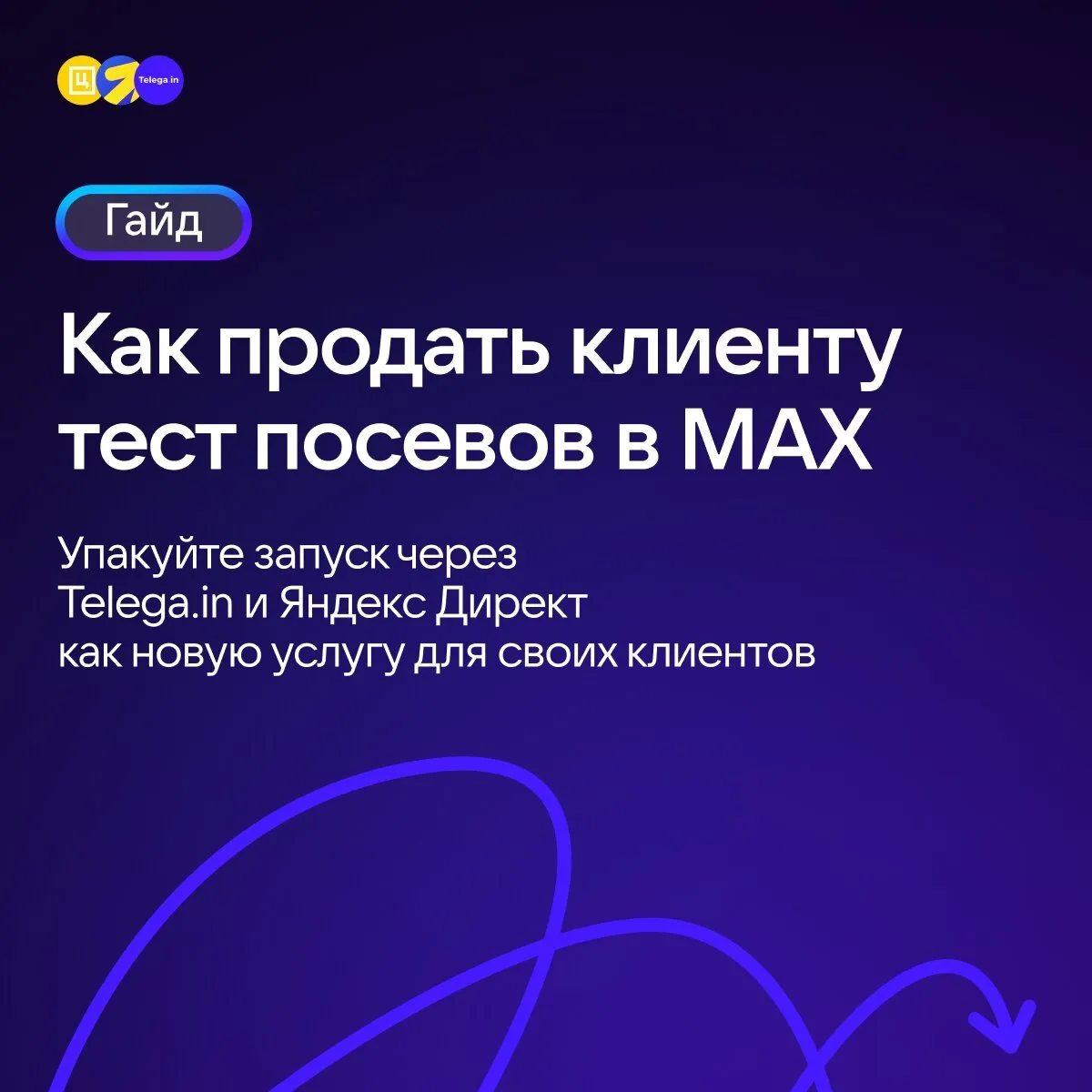 Сделали гайд «Как продать клиенту тест посевов в MAX»