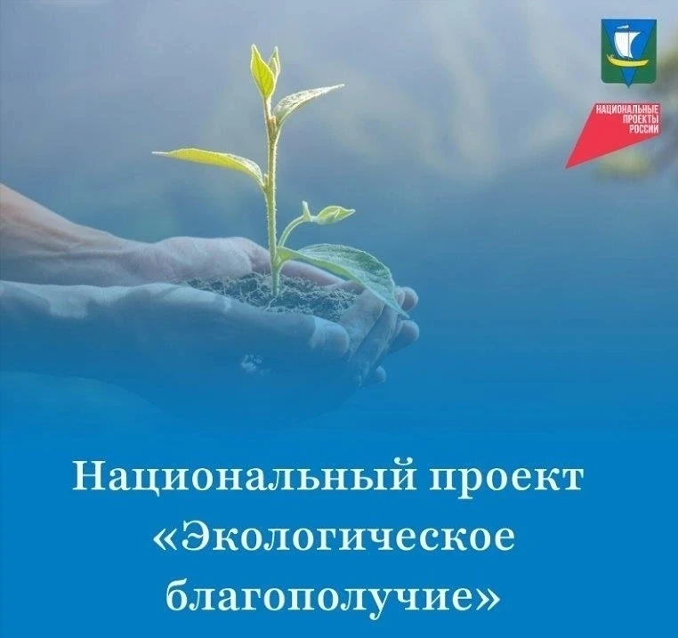 Целью национального проекта «Экологическое благополучие» является сохранение и восстано...