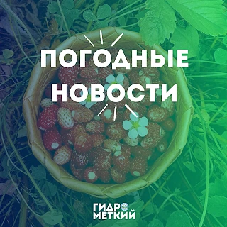 💥 Доброе утро, Гидромет!