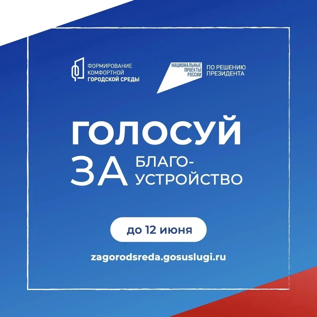 ⌛️ Осталось 2 дня до конца голосования за благоустройство

До 12 июня включительно в Ярославле прохо