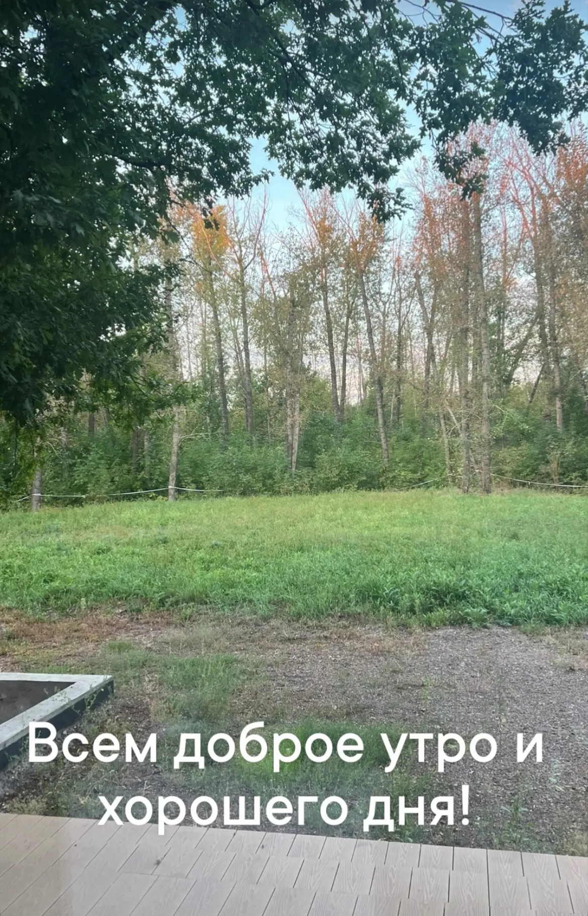 У меня в планах на сегодня завершающая партия турнира у девочек, репетиция линейки в шк...