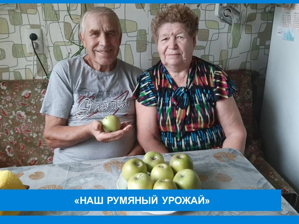 🍎🍏🍎«Наш румяный урожай»