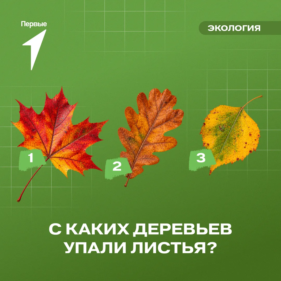 Природа готовится к осеннему сезону 🍂