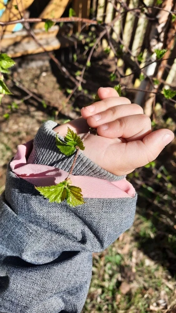 🌳 Весеннее пробуждение: как дети наблюдают за деревьями. На прогулке дети с восторгом замечают, как