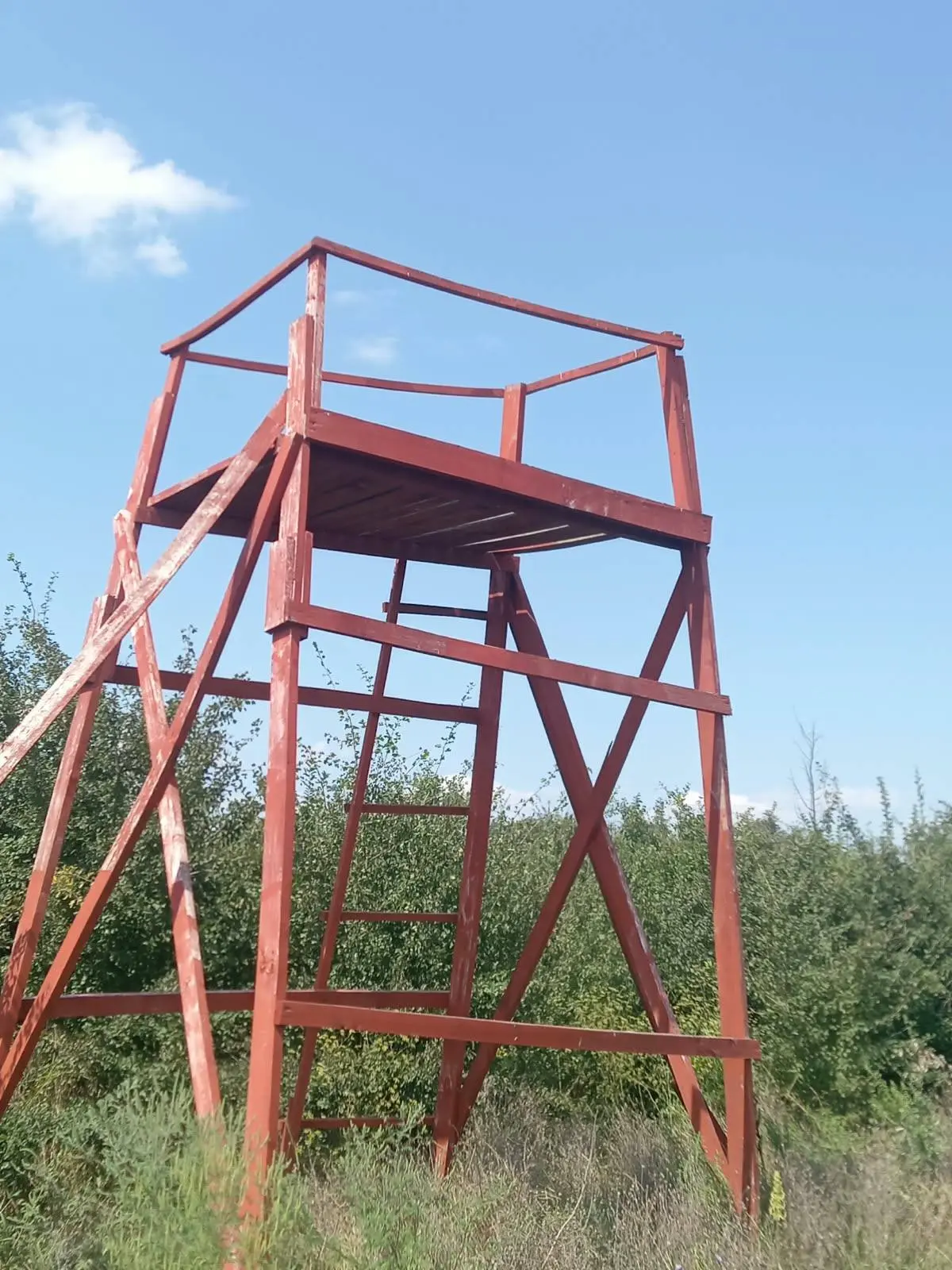Противопожарные вышки САУ РА «Адыгейская лесопожарная охрана» размещает с целью предупр...