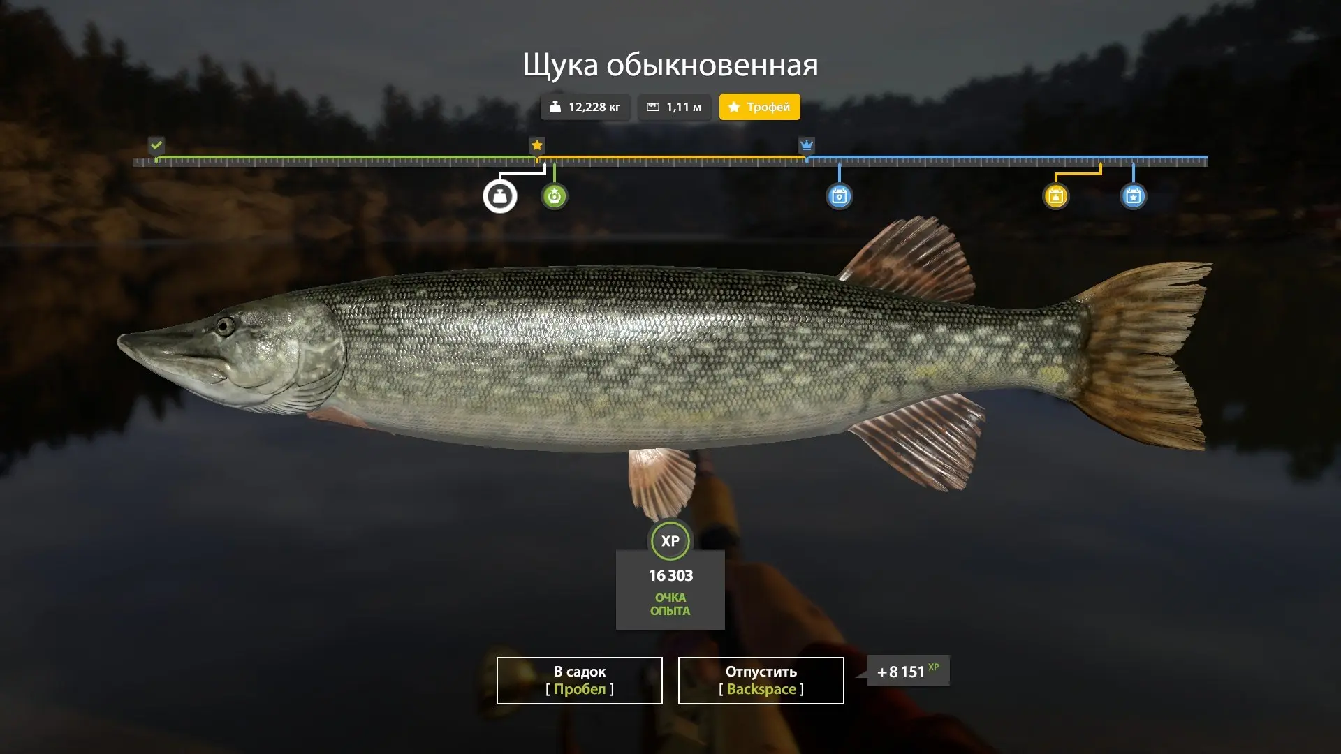#куори