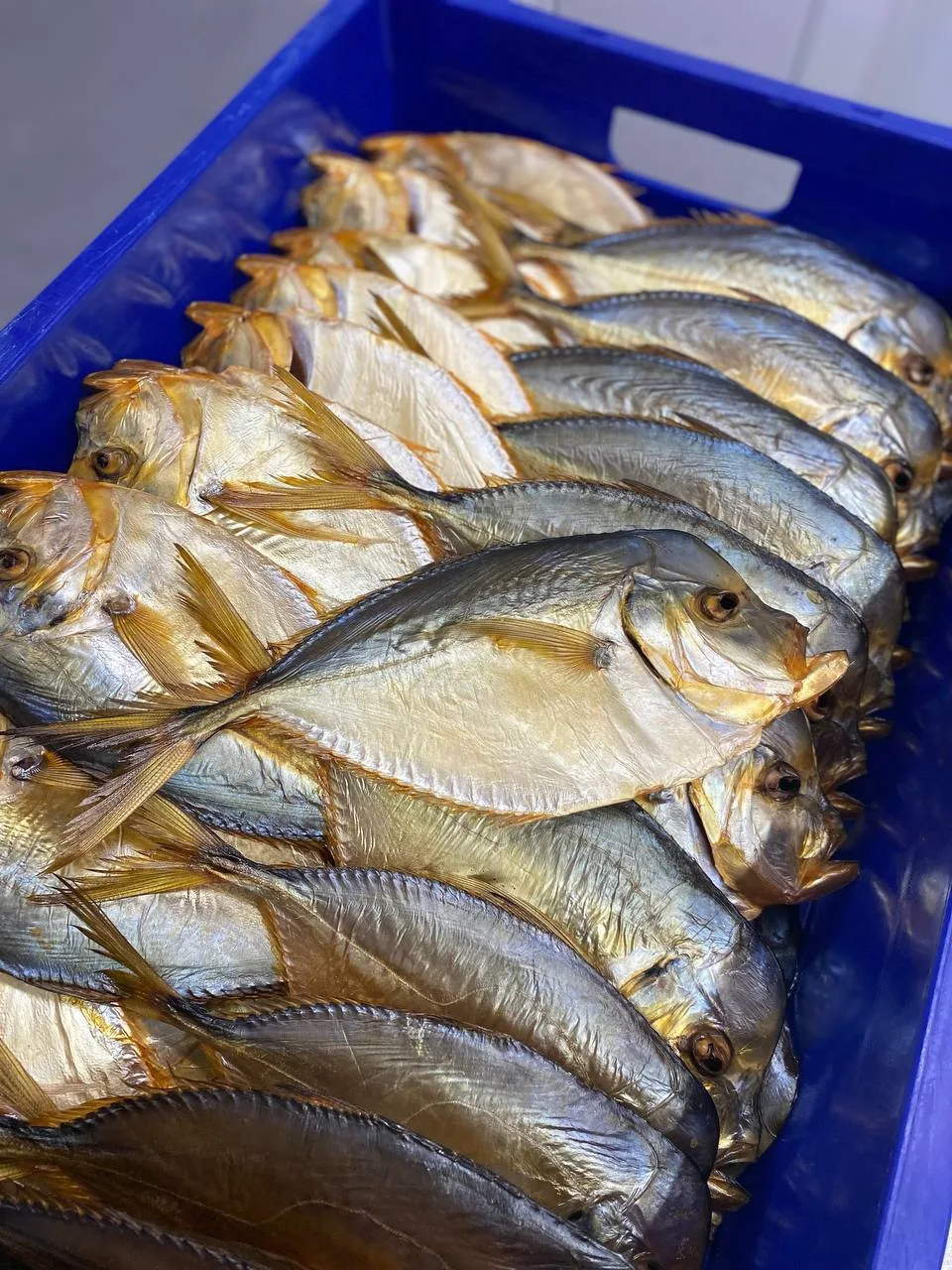 🐟ВОМЕР🐟