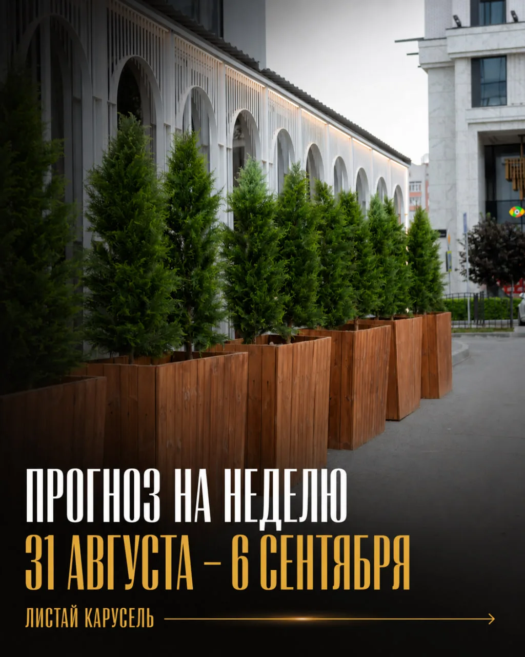 Краткие общие рекомендации на грядущую неделю 👇