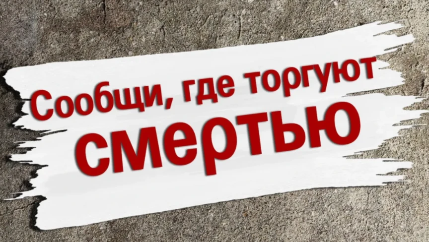 С 21 сентября по 2 октября 2026 года на территории Верхнекамского муниципального округа...