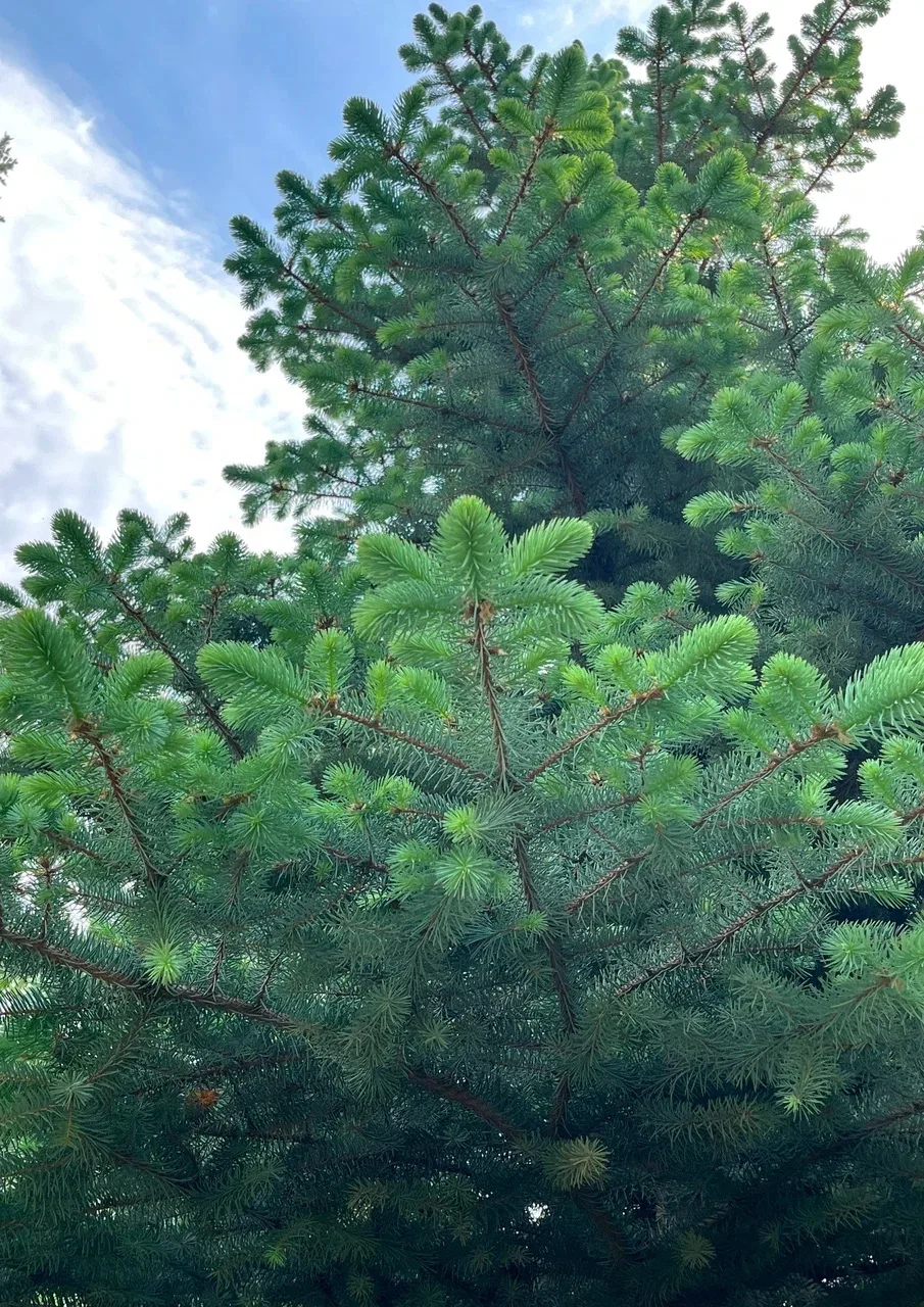 👉Замечаем красивое