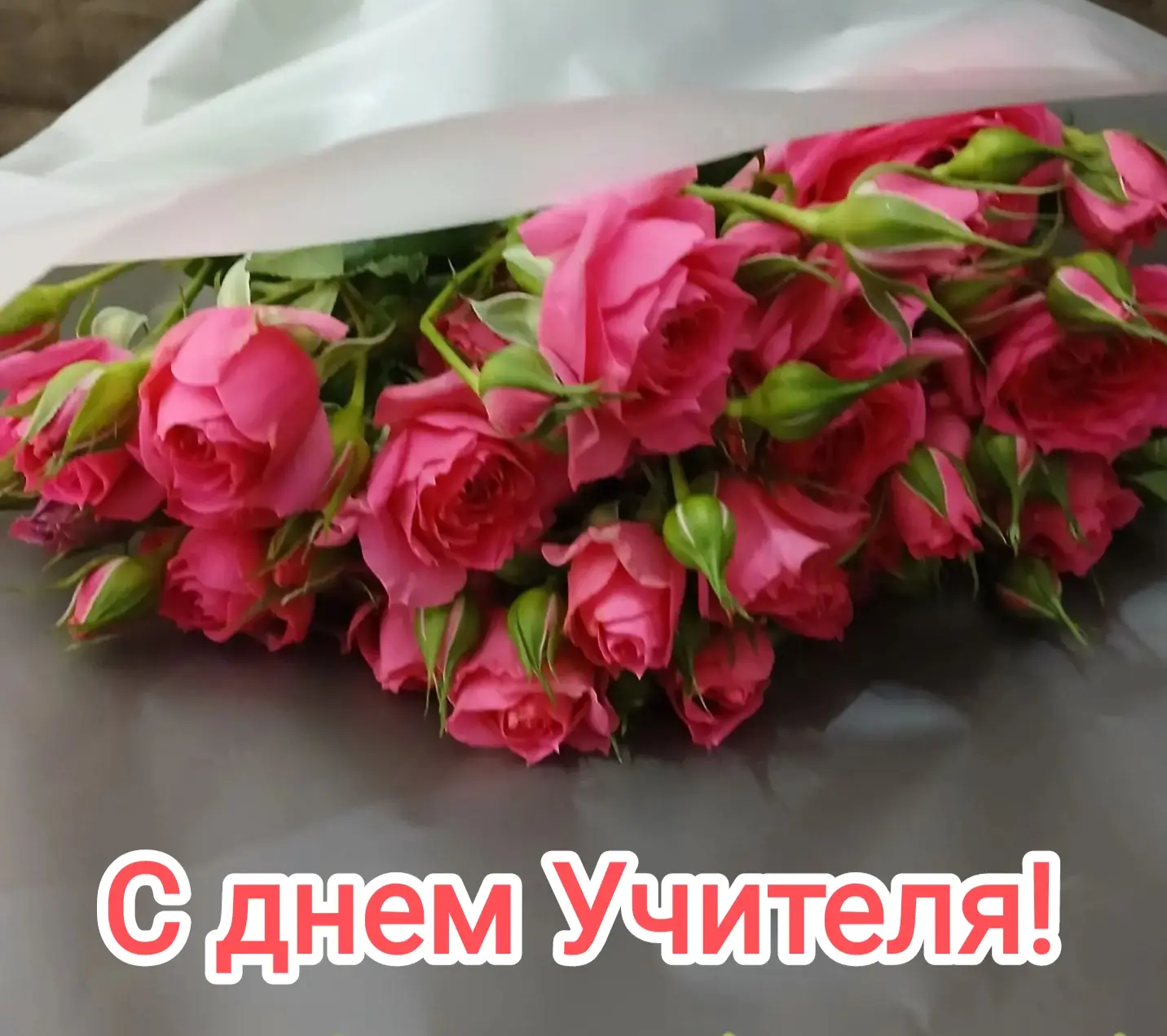 Дорогие сотрудники Управления образования, молодежной политики и спорта, руководители о...