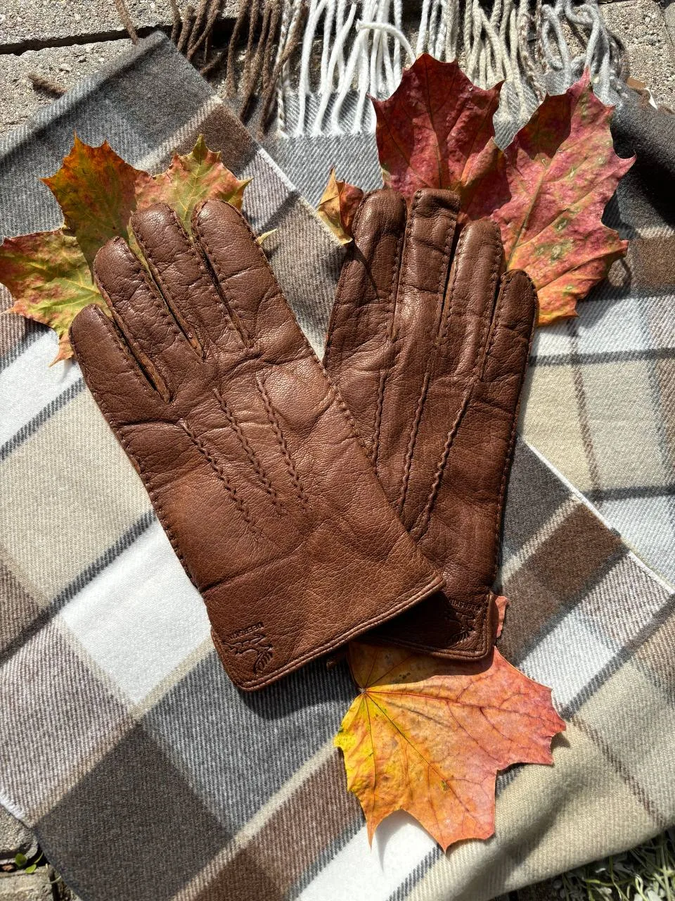 🍂🍂⭐️🍂🍁🍁🥧🍁🍁🌳