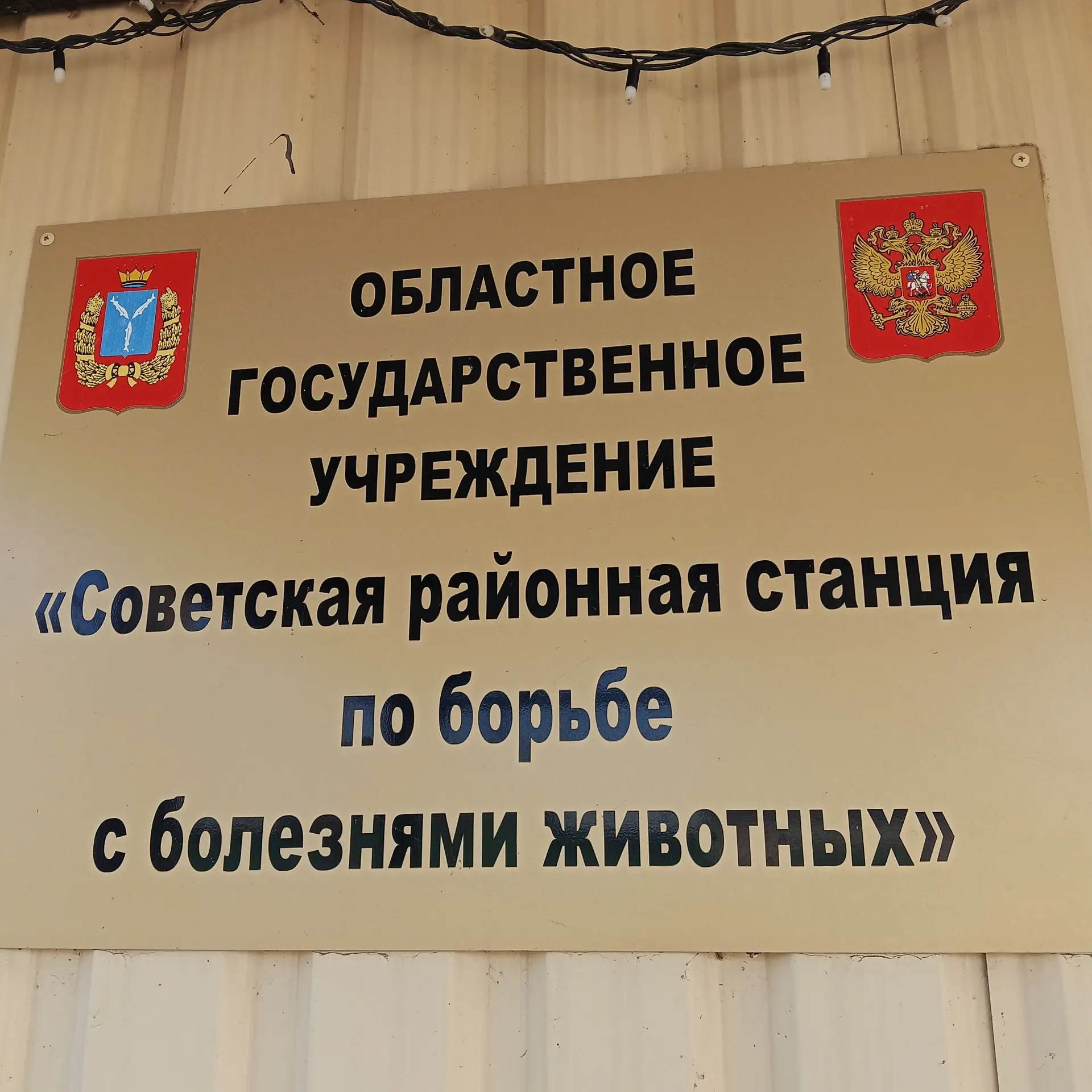 Прием животных