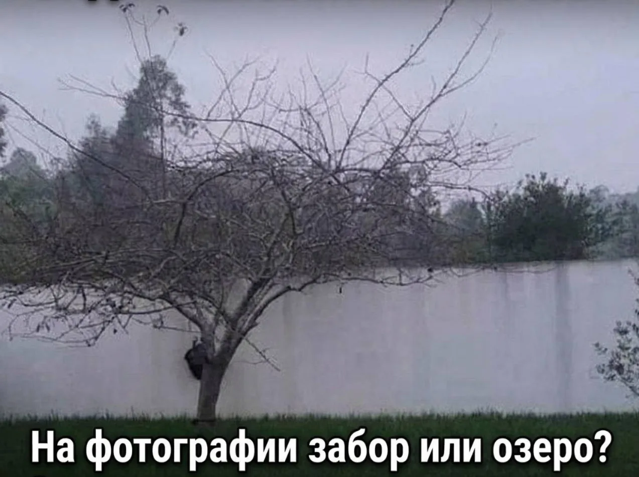 Мы в VK vk.ru/russa53region