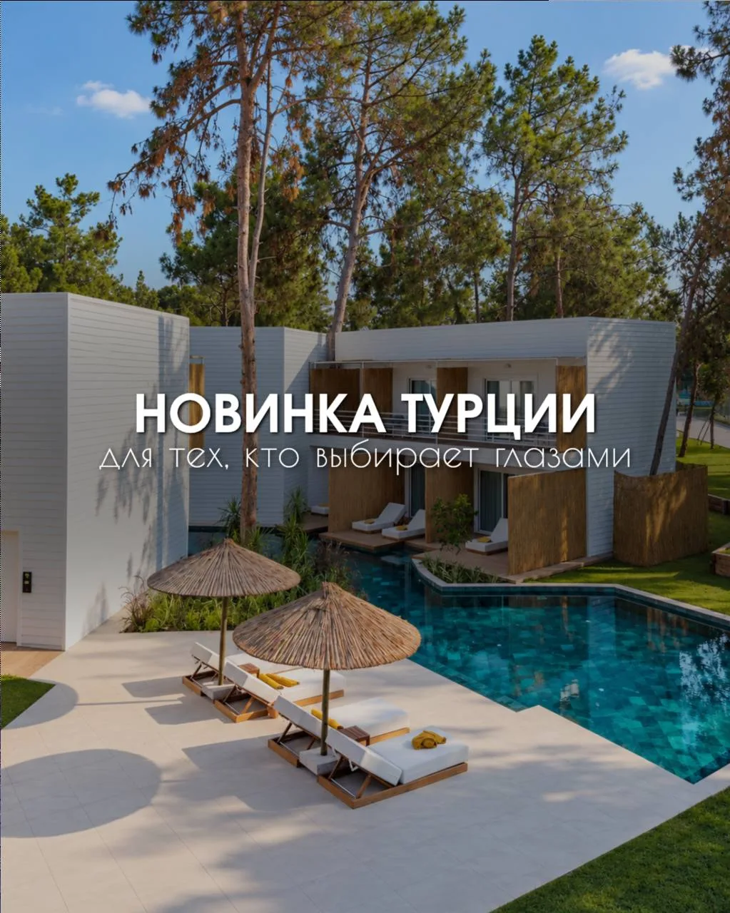 ✨ ЭФФЕКТНАЯ НОВИНКА В ЖИВОПИСНОМ КЕМЕРЕ