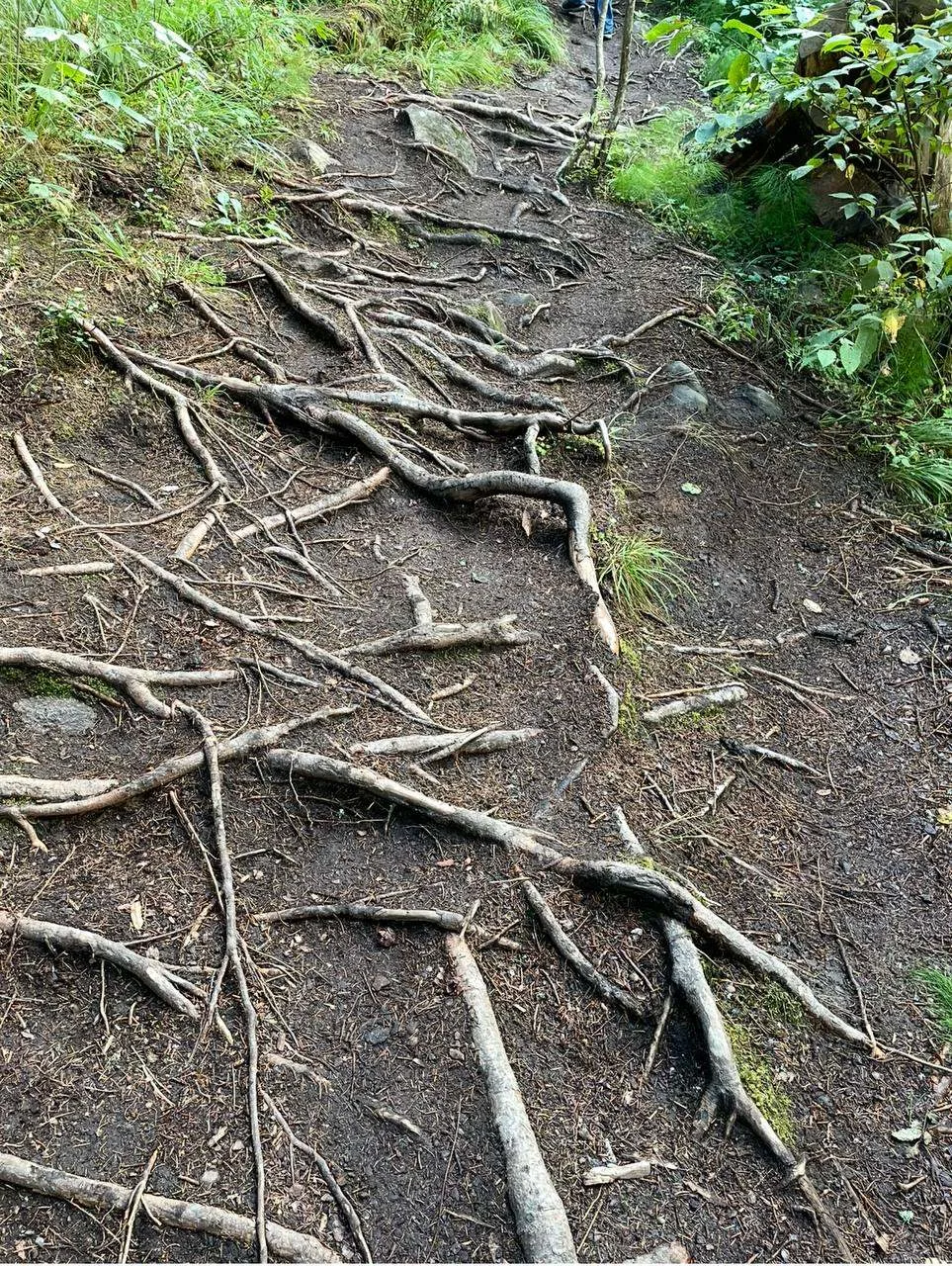🌳 Городище Паасо, Сортавальское городское поселение
#РеспубликаКарелия

📌 Городище Паасо существов