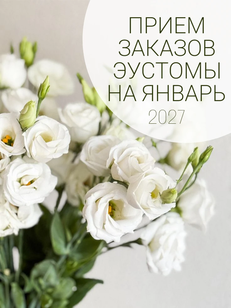 ☀️ Друзья🌱