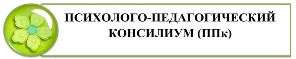 ППк: помогаем детям стать успешнее