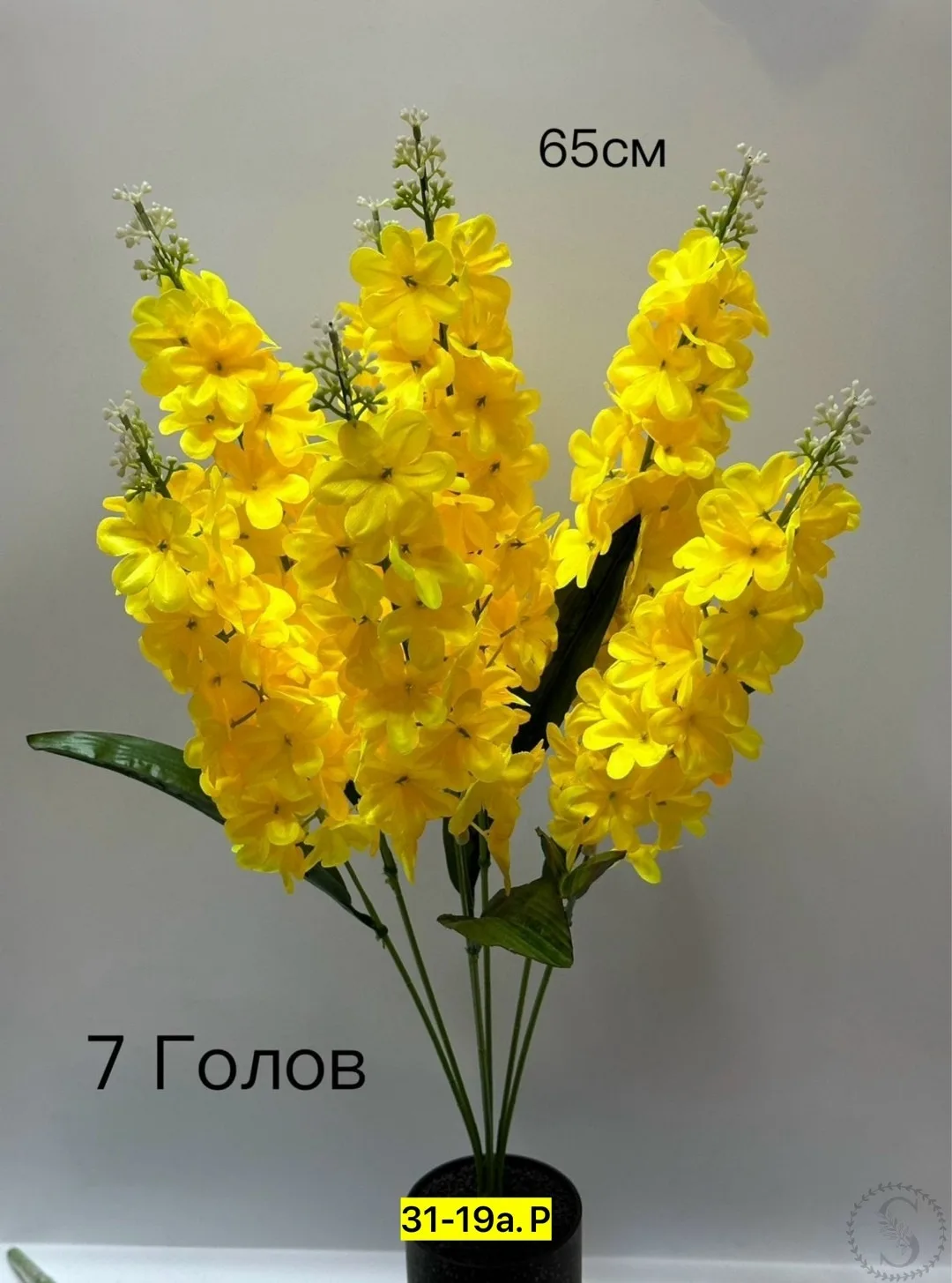 https://vk.com/photo-184814919_493427576