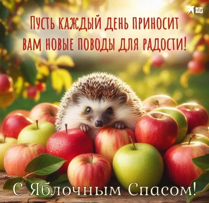 19 августа — Яблочный Спас!🍎
